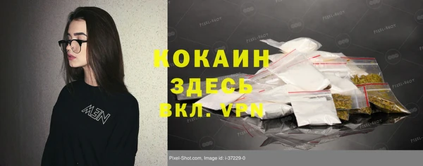 трава Бородино