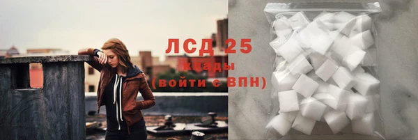 трава Бородино