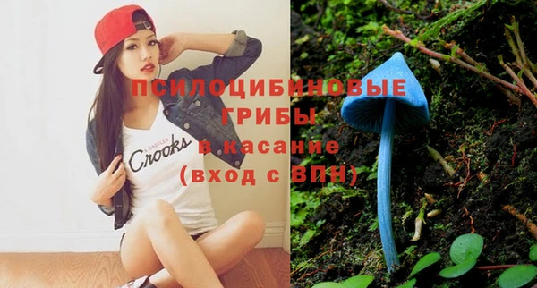 молекула духа Бронницы