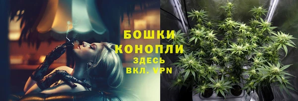 сатива Верея