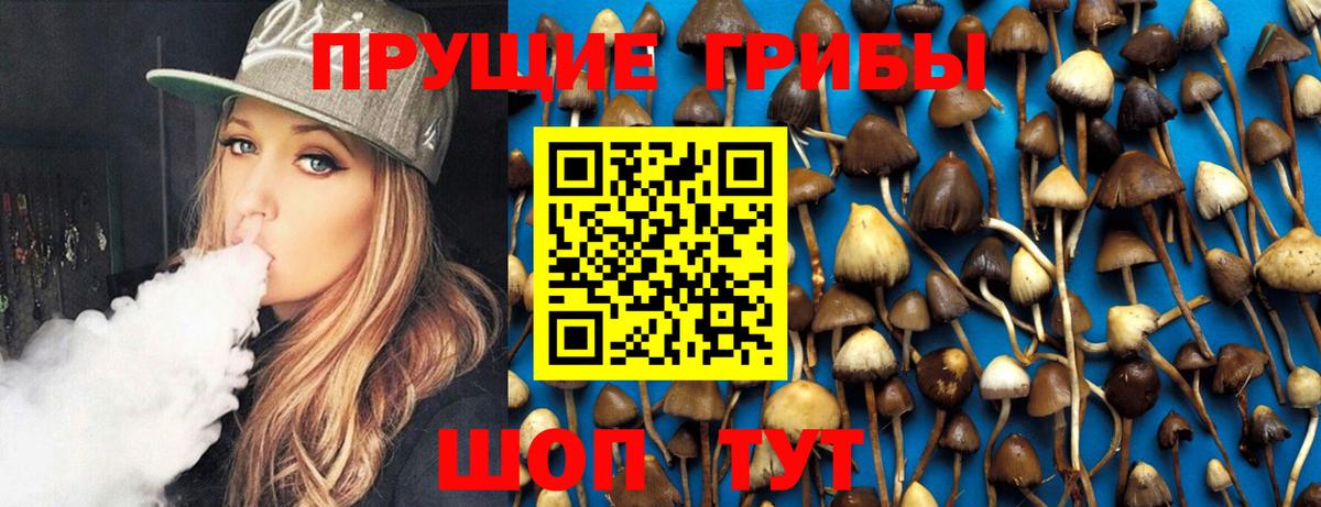 Валуйки  Галлюциногенные грибы Psilocybine cubensis  Вход с VPN 