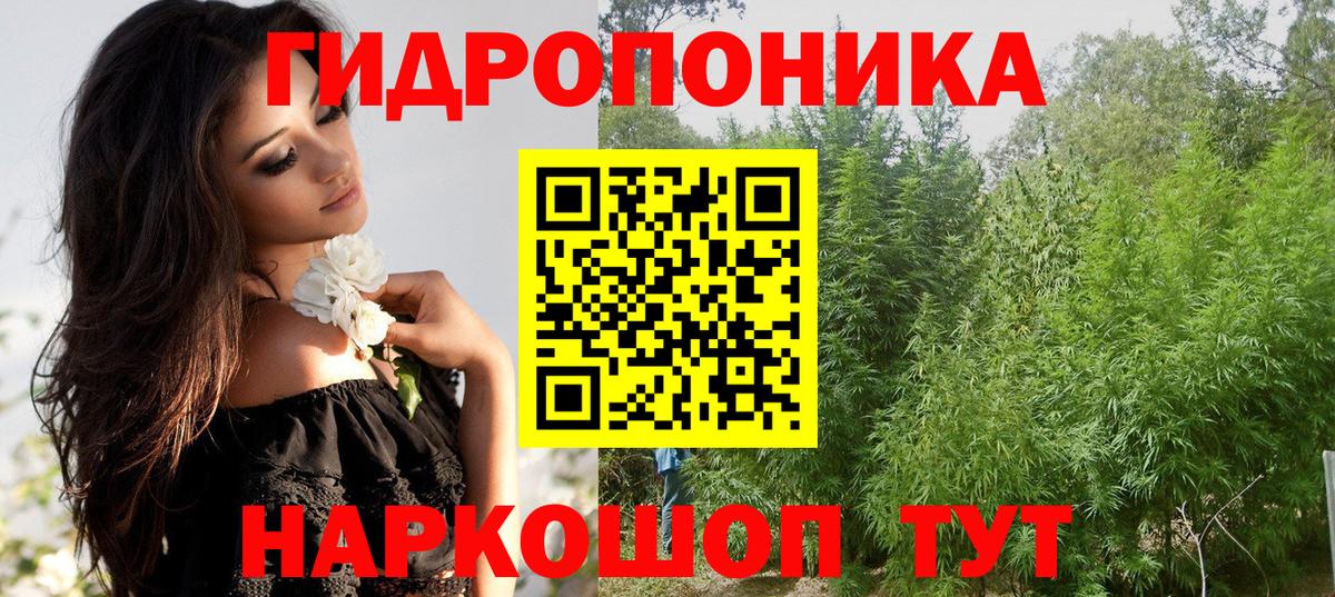 Каннабис OG Kush  Бошки Шишки сатива  Валуйки  Бошки марихуана OG Kush  Шишки марихуана LSD WEED  Вход с VPN 